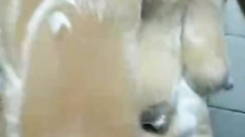 Gujarati Bhabhi Shower - Movies.