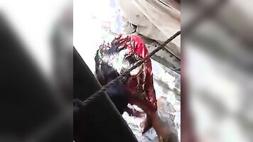 Sexy Burdwan Girl Shower - Movies. video2porn2