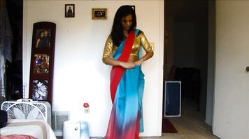 North Indian Bhabhi In Sari - Movies.