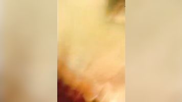 High Profile Desi Call Girl - Movies.