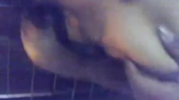 Newly Married Bangla Wife - Movies. video2porn2