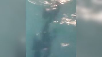 Pakistani Couple In Pool - Movies. video2porn2