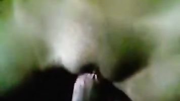 awesome nice to see a white girl sucking some desi cock