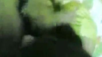 Bangladeshi slut gives a blowjob.