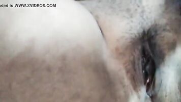 Desi First Time Girl Cunt Blood